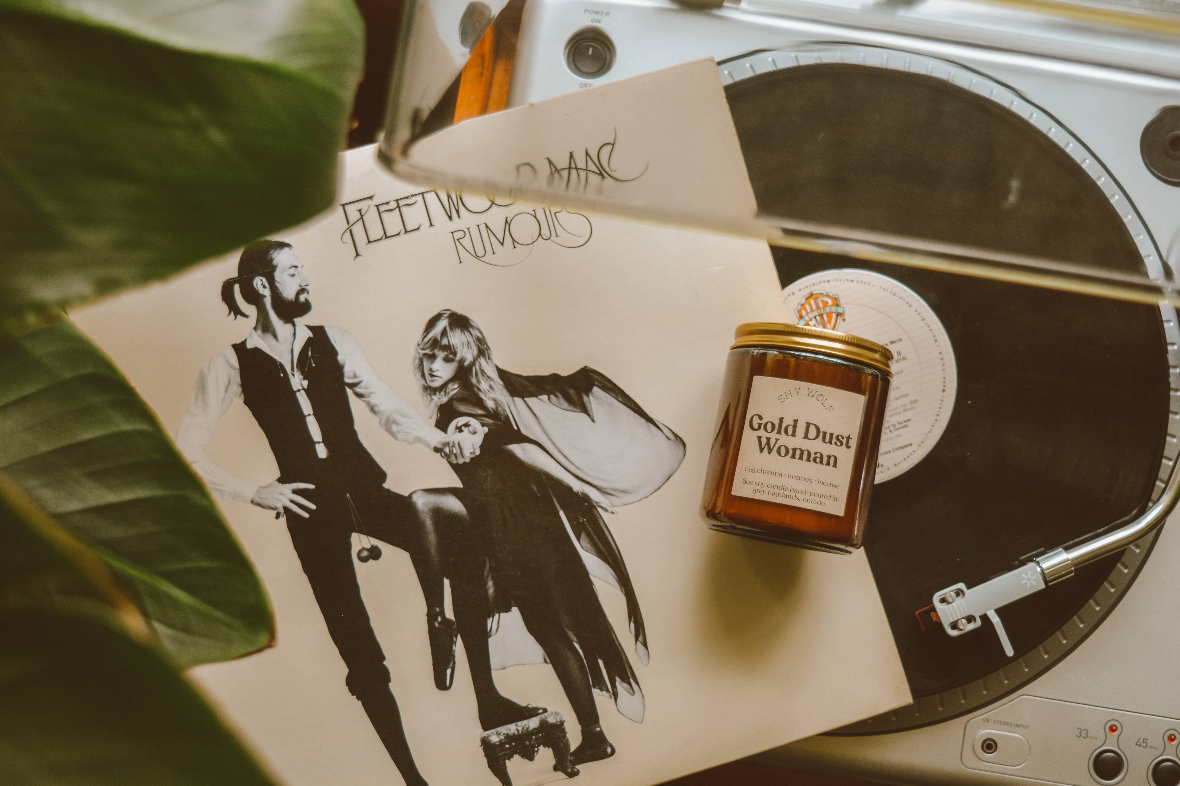 Shy Wolf Soy Candle | Gold Dust Woman