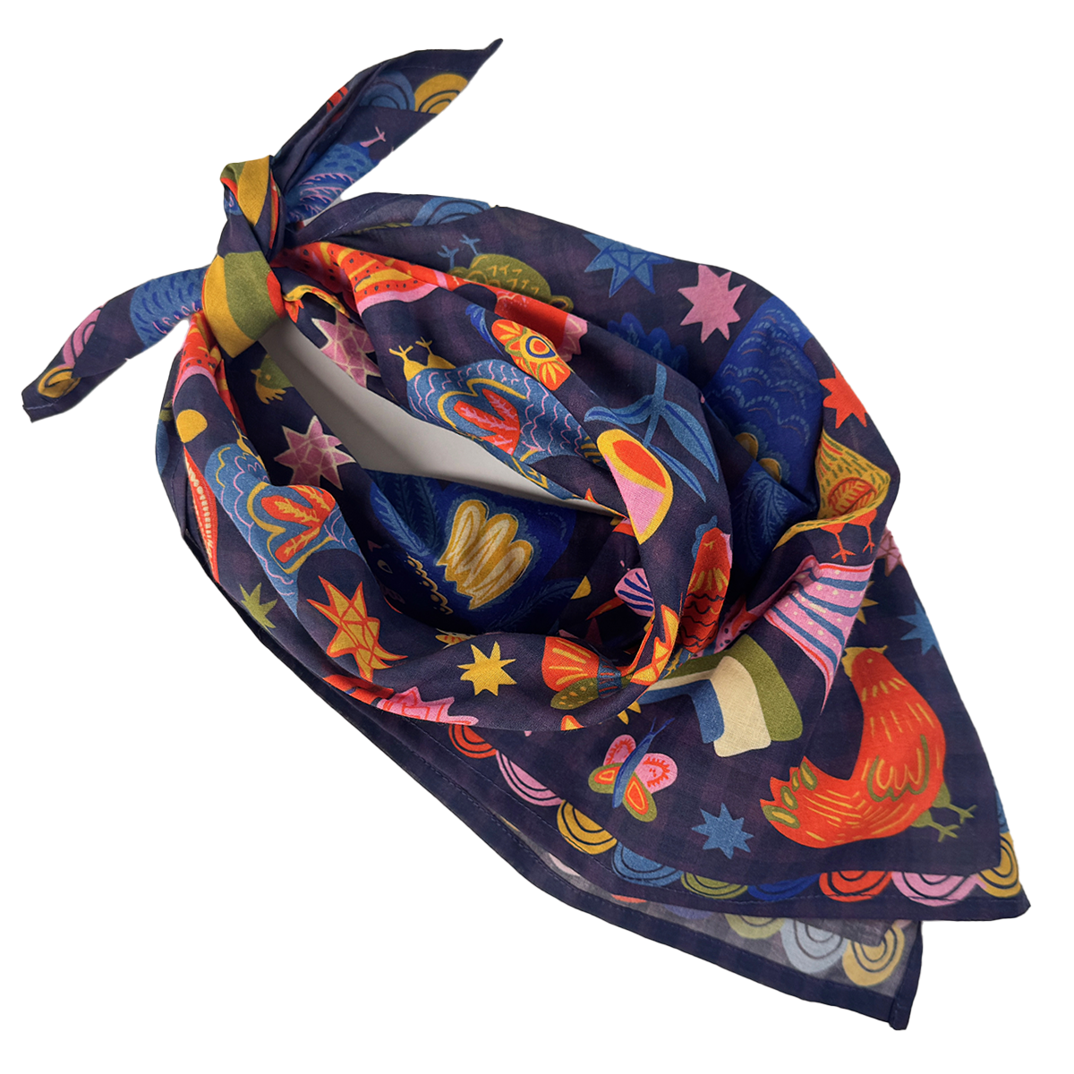 Handker Bandana | Matilda Colorful Birds
