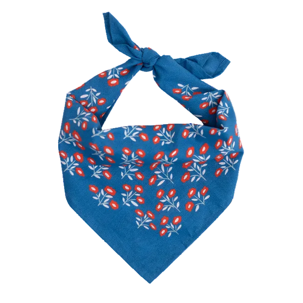 Handker Bandana | Juliet Blue