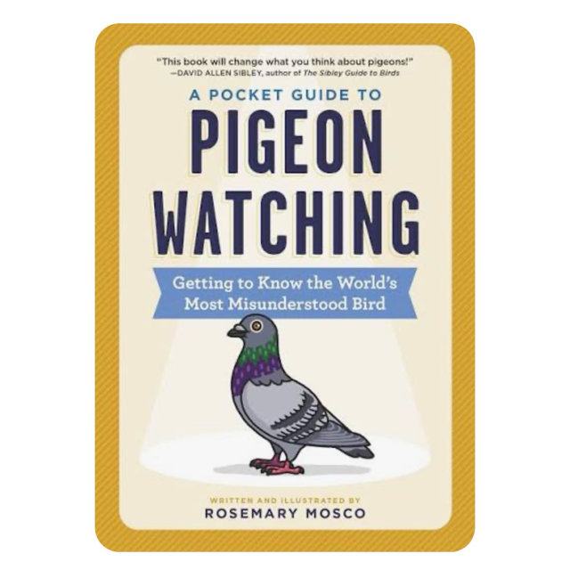 Pocket Guide To Pigeon Watching