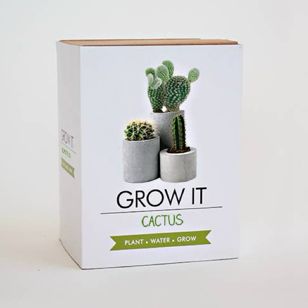 Grow It Cactus