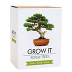 Grow It Bonsai Tree