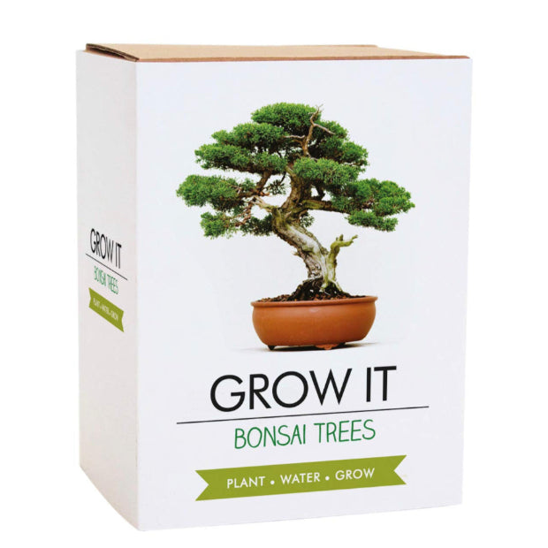 Grow It Bonsai Tree