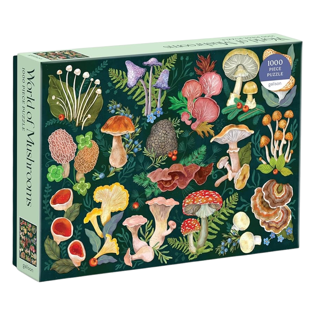 World of Mushrooms Puzzle