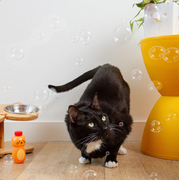 Kikkerland Catnip Bubbles