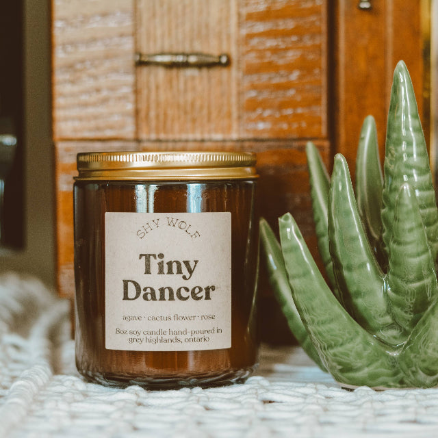 Shy Wolf Soy Candle | Tiny Dancer