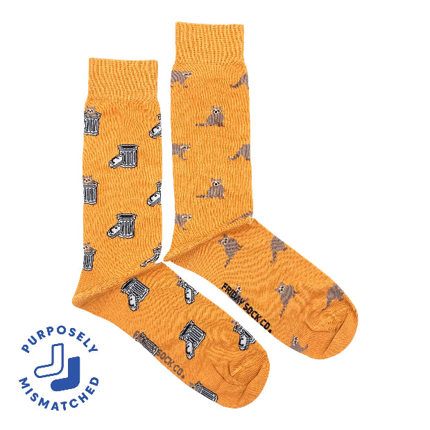 Friday Sock Co | Men's Raccoon & Trash Can Socks